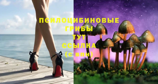 МДПВ Пестово