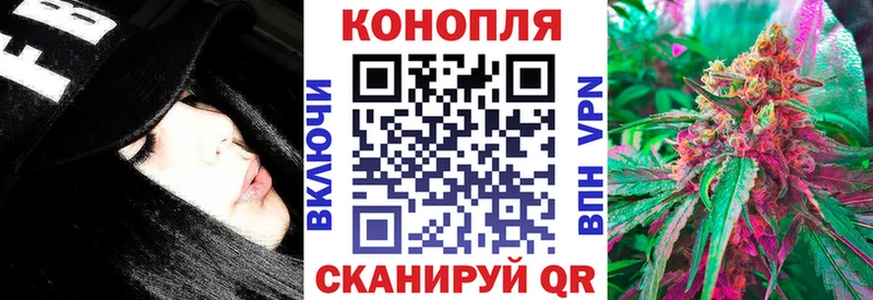 Конопля сатива  Тетюши 